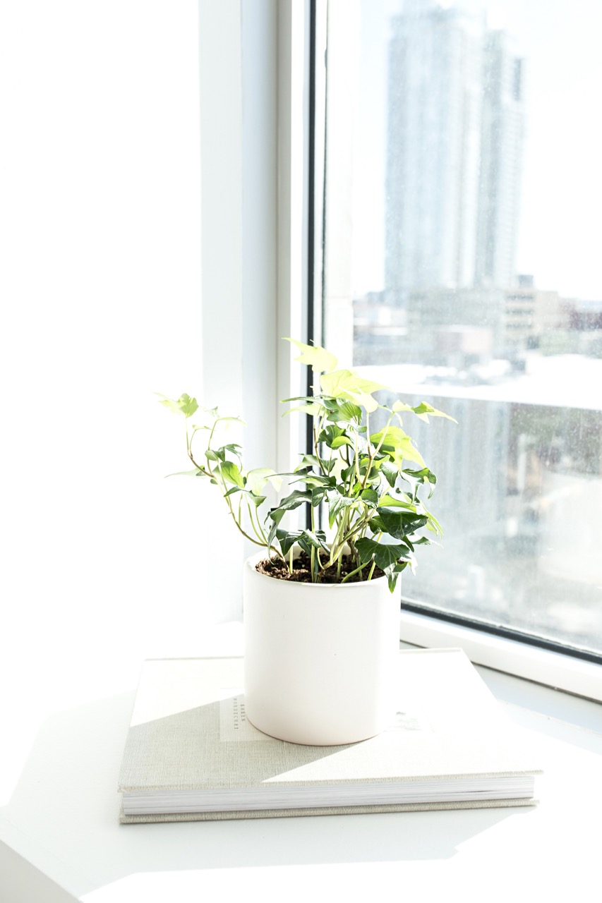 My Personal Growth Journey